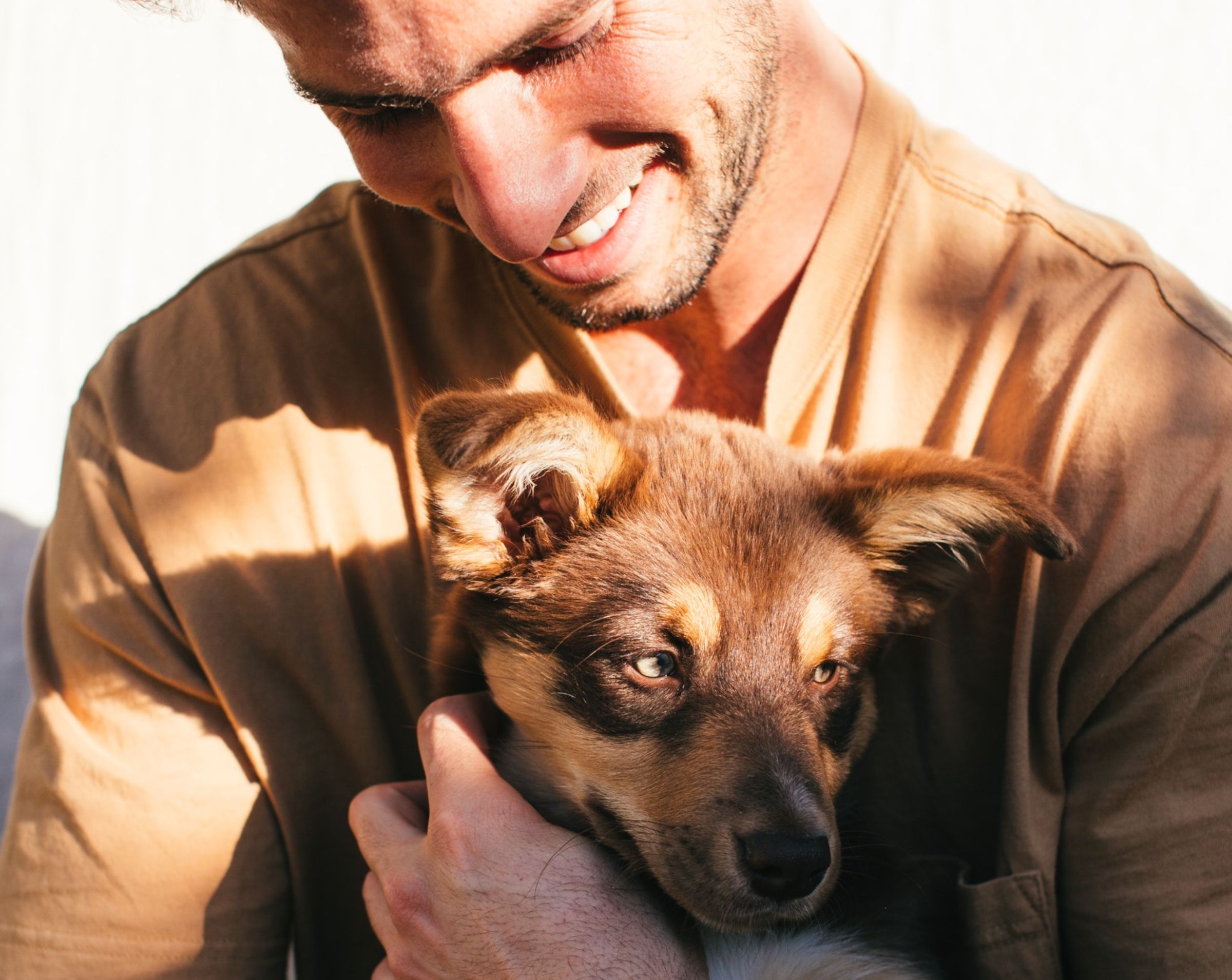 recomienda veterilandia y sus veterinarios cualificados