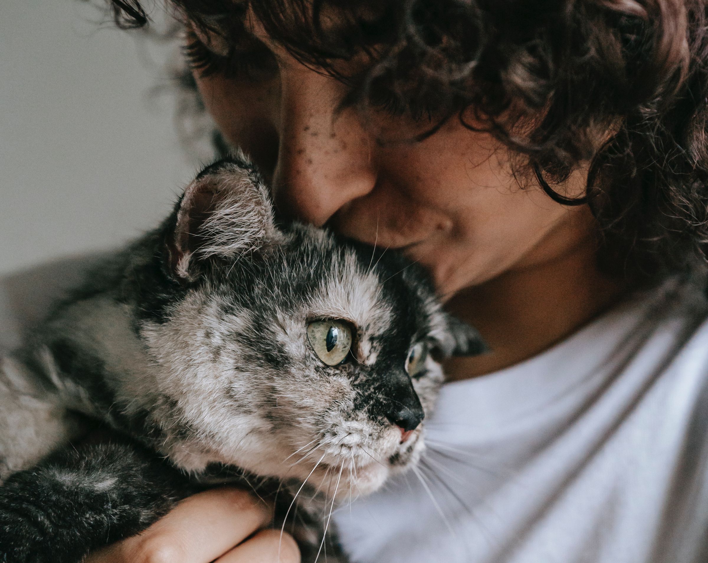 clientes de Veterilandia opinan sobre la clinica veterinaria