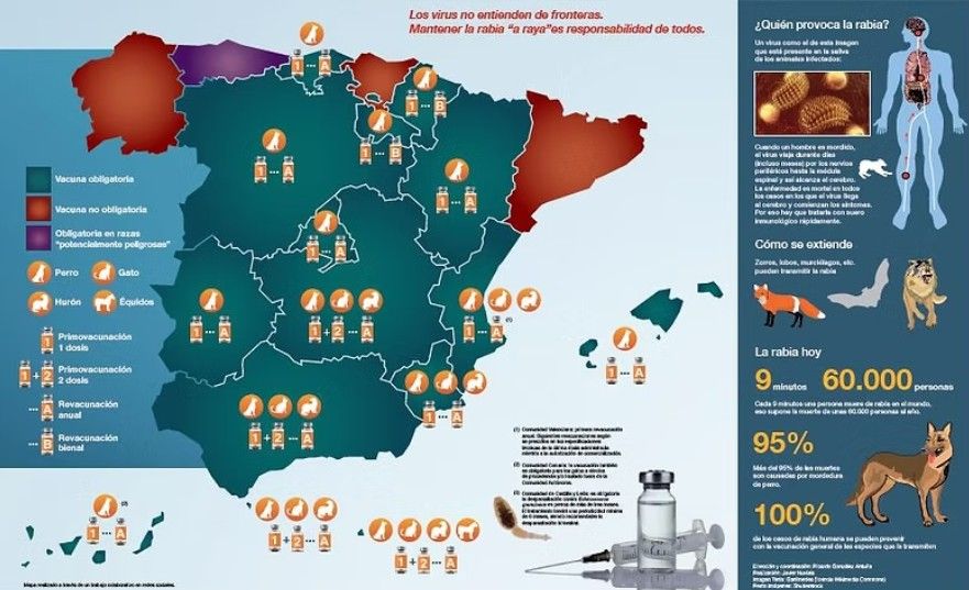 LABOR SOCIAL En el Centro Veterinario Eurovillas no nos olvidamos de los más necesitados, por lo que colaboramos en diversos proyectos de labor social: Medicina y esterilización de gatos callejeros de colonias atendidas por asociaciones sin ánimo de lucro Campañas de esterilización felina de diversos ayuntamientos de la zona, para limitar las colonias callejeras. Colaboración económica con los Mayores de Nuevo Baztán para su Día del Abuelo, así como descuentos en la clínica para los poseedores de la Tarjeta de Mayores Campañas de vacunación antirrábica e identificación de animales de compañía a precios reducidos