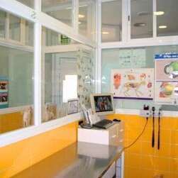 En Centro Veterinario Eurovillas nos centramos en la atención médica para mascotas.